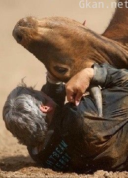 现代角斗士:身体和生命的赌博