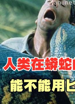 人类在蟒蛇的肚子里,能不能用匕首自救?难道只能被吞掉?