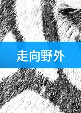 走向野外