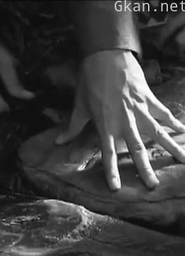 十三只火腿背后的刺蒋疑案