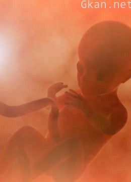 探索《生死与轮回》的谜团背后