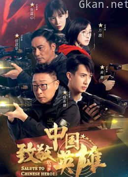 致敬中国英雄网络版