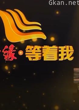 《等着我》精彩片段