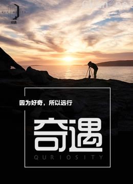 奇遇 纪录片