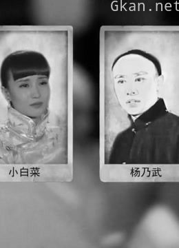 杨乃武与小白菜的是非