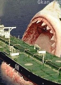 纪录美好生活,分享世界奇闻趣事,看见不一样的世界!