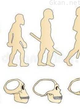 人类共同的祖先:智人