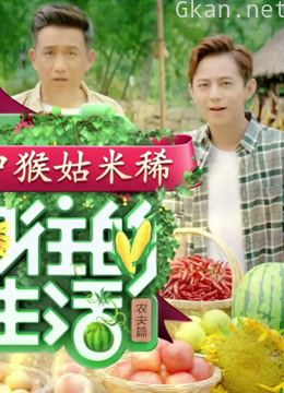 《向往的生活》精彩合集