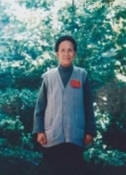 从山寨夫人到双枪女匪首的陈大嫂