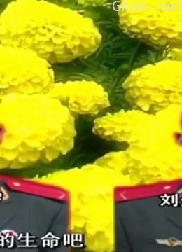 王刚讲故事之青春的证明