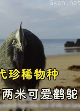 七个世界一个星球