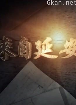 来自延安的报告