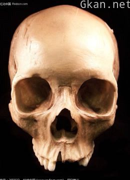 罗马帝国谋杀案