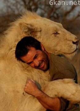 兽性实录:这些动物惊骇你