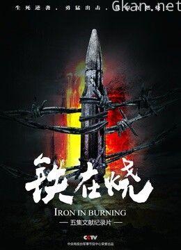 铁在烧——志愿军第63军铁原战记