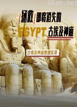 拯救即将消失的古埃及神庙