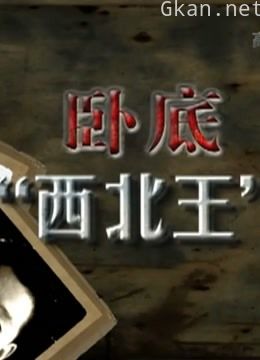 老蒋得力干将胡宗南身边的卧底