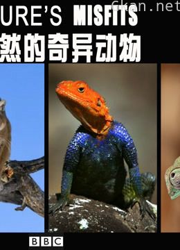 大自然的奇异动物