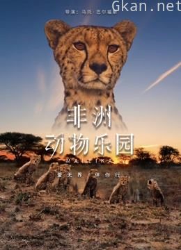 非洲:动物乐园