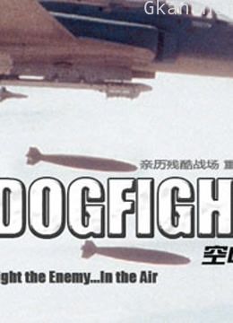 空中搏斗