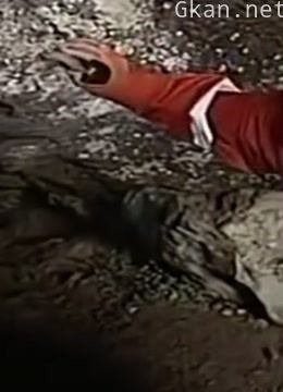 王刚讲故事之万骨洞的秘密