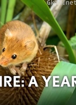 约克郡:荒野年轮