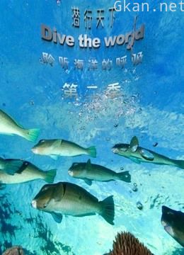 潜行天下 第二季