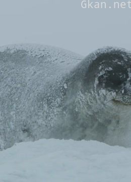 走进动物内部世界