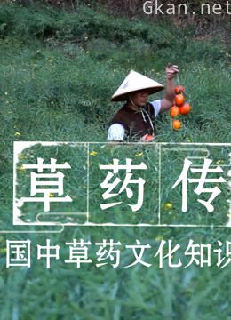 【草药传】中国首部中草药知识片,从采摘到炮制的分享