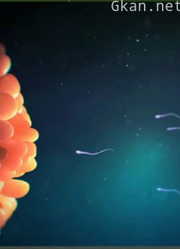 懂点科学也很好