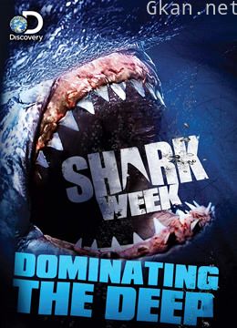 鲨鱼周:僵尸大白鲨之谜