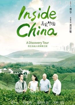 真实中国:民主自由人权探索之旅