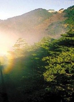 神秘追寻 系列二