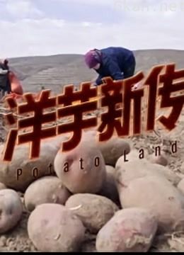 洋芋新传:西海固的活命薯、脱贫薯、致富薯