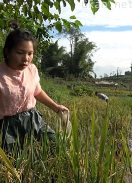 农村小英子的纪录片