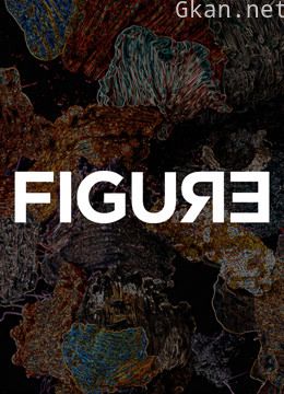 figure:好故事不违人心