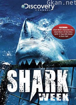 鲨鱼周:大白鲨新战场