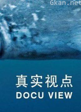 真实视点