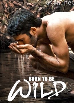 天生狂野 南美洲