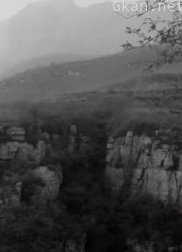 日本名将之花阿部规秀命丧太行山