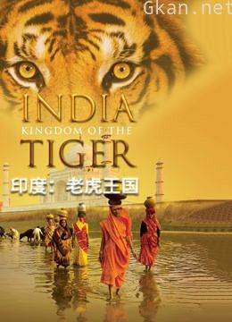 印度:老虎王国