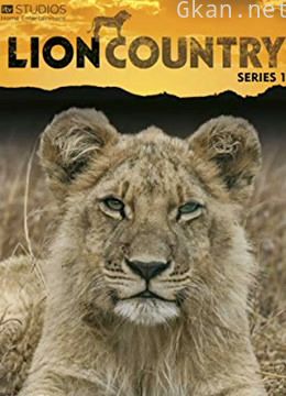狮子王国 第一季