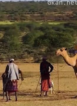 纪录世界的每一个角落