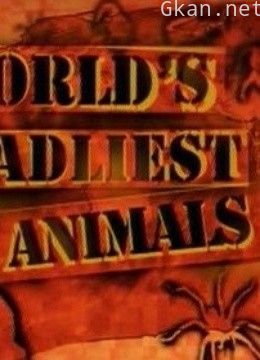 世界上最致命的动物2