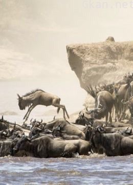 马塞马拉:大逃杀