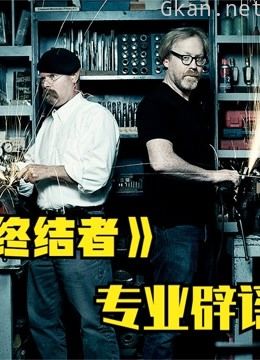 流言终结者全集