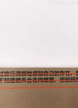 白嵩导演纪录片作品