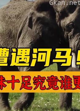 动物世界想象不到的事情