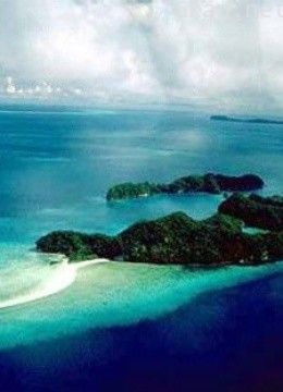 原始岛屿上的生活