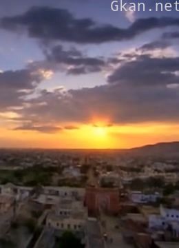 世界上最致命的动物3